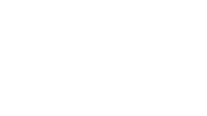 Logo Birth Group