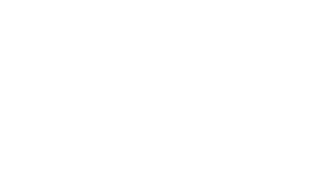 Logo Birth Group